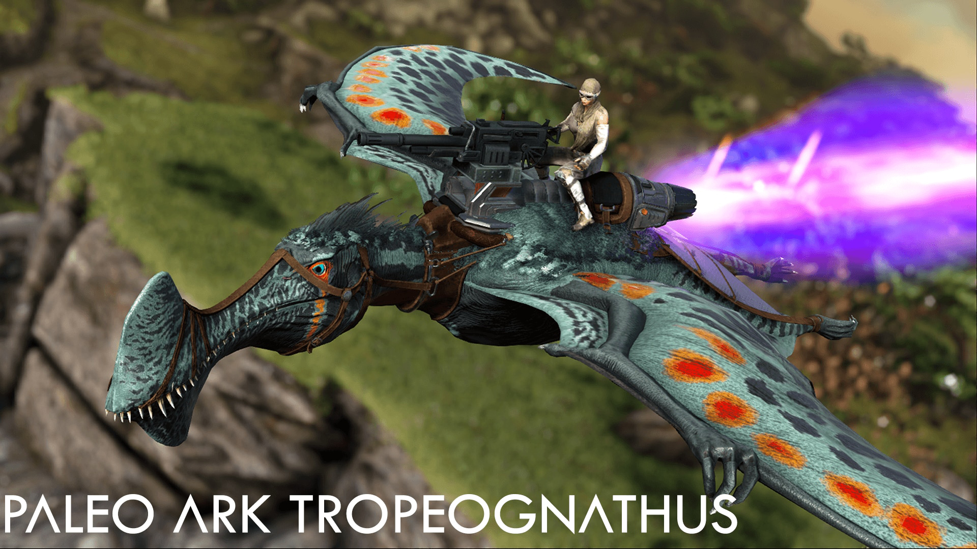 Image du mod