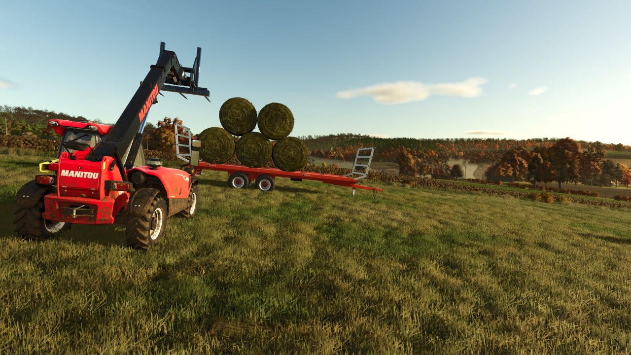 Stabilisateur De Physique Des Balles FS25
