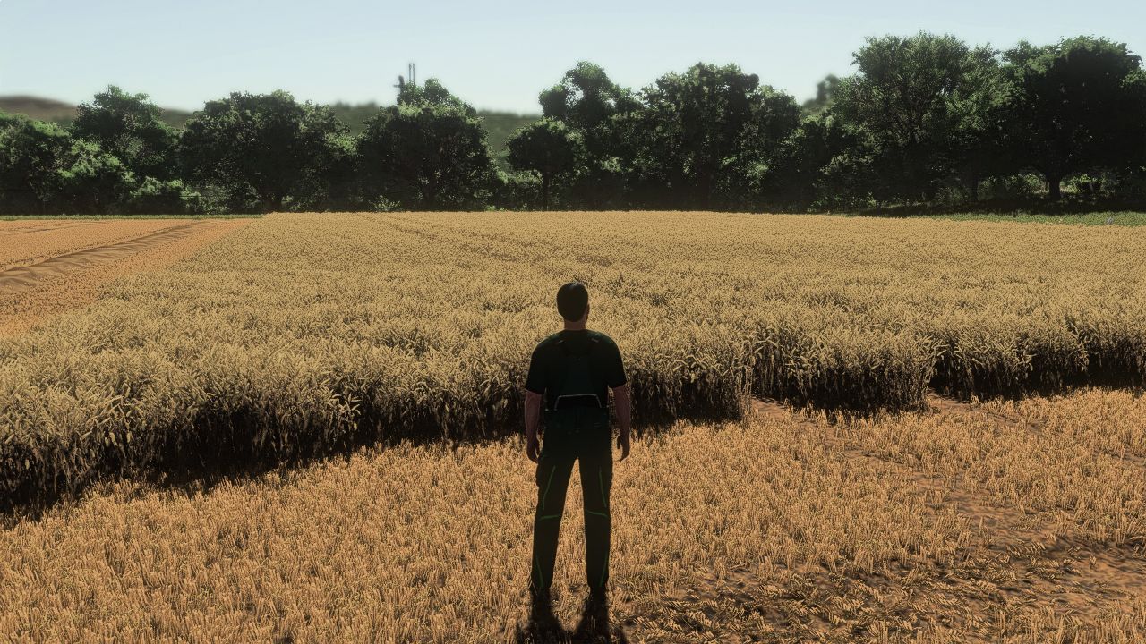 Image du mod